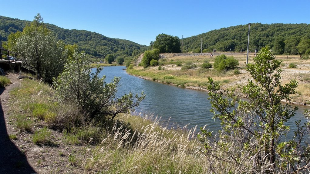 How to Identify a Failing Car Radiator